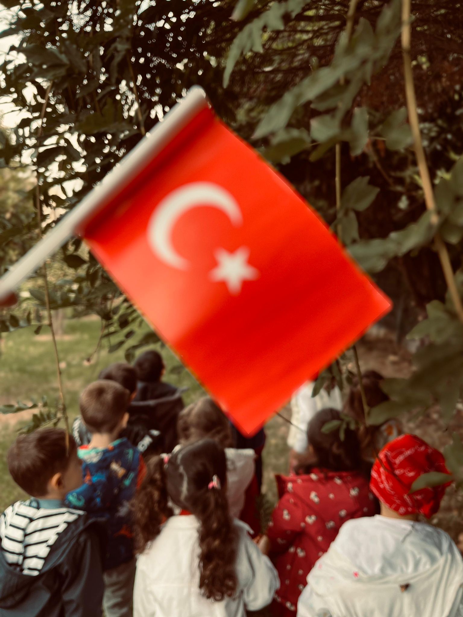 Tabiat Anaokulu