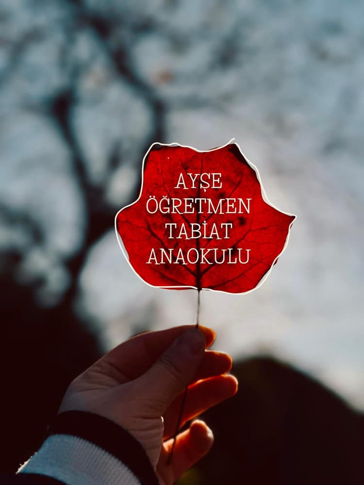 Tabiat Anaokulu Galeri Ek 16